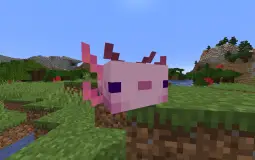 Prkr