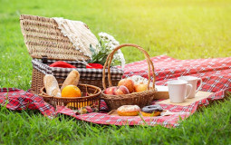 Picnic Foods/Drinks