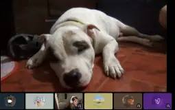 Who is the best boy