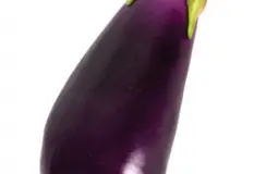 gyER8O