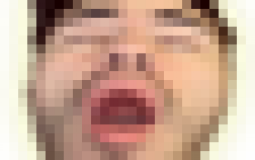 Zingerz Emotes