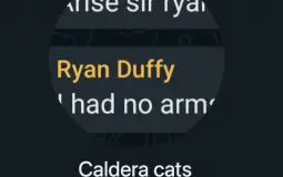 caldera cats
