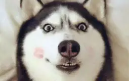 bnewconte