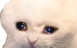Moots