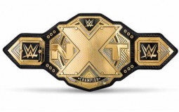 WWE NXT Champions