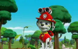 Marshall