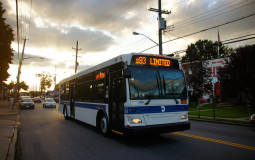 Staten Island Local Bus Routes