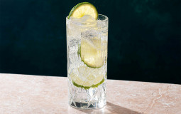 Gin
