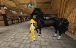 SSO Horses
