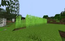 ravensmp
