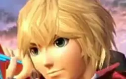 Shulks