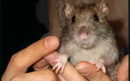 Казино выфвывфы