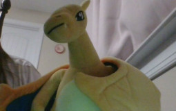Pokemon Plush