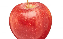 Apples
