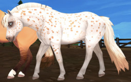 Star stable