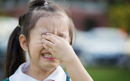 School subjects