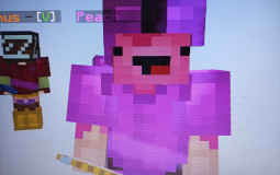 SSB MC EDITION Characters