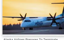 Airline liveries