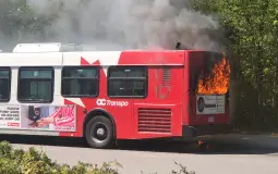 OC Transpo Vehicles