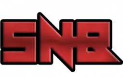 Intelligence SNB