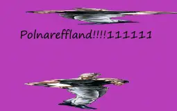 Polnareffland member tier list