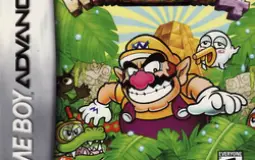 Wario Land 4 Levels