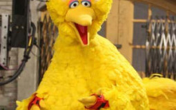 Sesame Street Character's Combat Capabilities