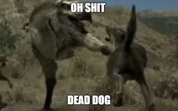 Cenozoic survival