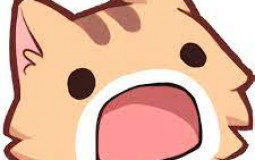 Discord server member tier list