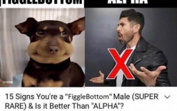 gremlin to main character