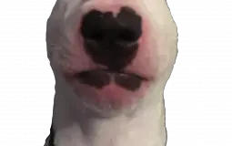 fgrbthrnymu