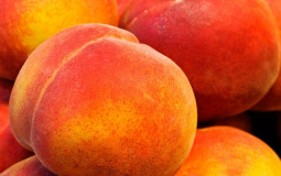 FRUTAS