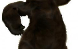 Over the Hedge Songs