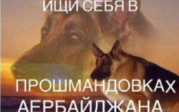 Synonyms of "Проститутка"