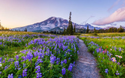 Mountain Regions