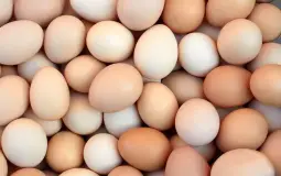 Eggs