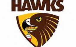 AFL TEAMS