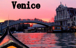venice cyock ranking