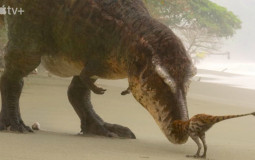 Theropod tier list