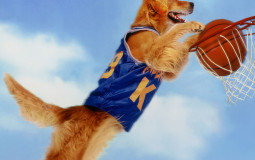 Core 5 Air Bud Movies