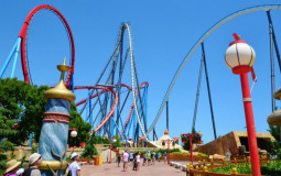 Best parks