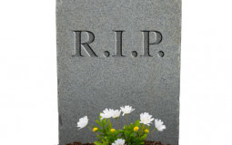 people i beat in a fight