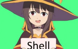 Shell Members