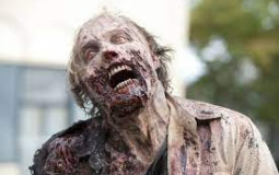 zombie apocalypse roles
