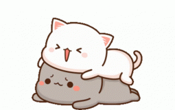 kjhjkh