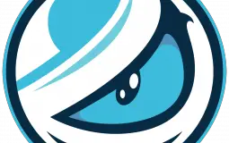 Esports Orgs