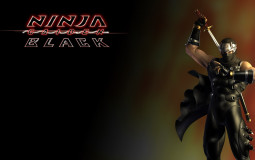 Ninja Gaiden Black Weapons