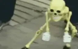 Best Skeleton
