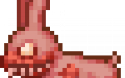 vjvj