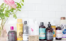 Pet Shampoo